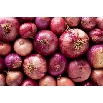 onion (2)-1652614-51690.webp